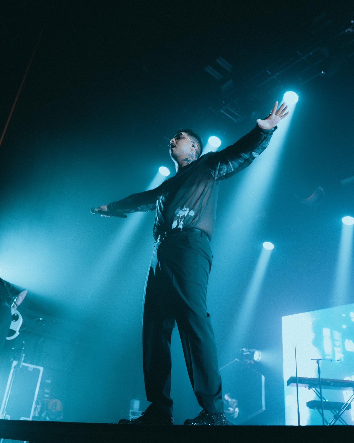 Dayseeker